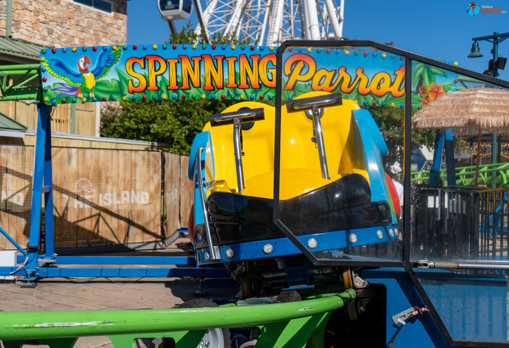 Spinning Parrot - The Island at Pigeon Forge